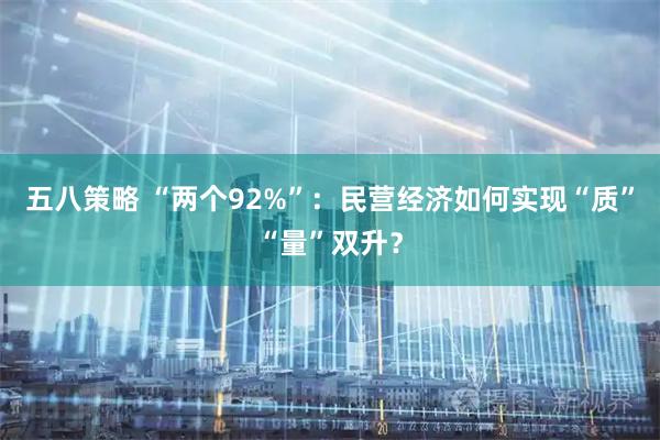 五八策略 “两个92%”：民营经济如何实现“质”“量”双升？