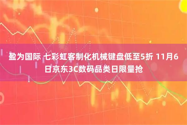 盈为国际 七彩虹客制化机械键盘低至5折 11月6日京东3C数码品类日限量抢