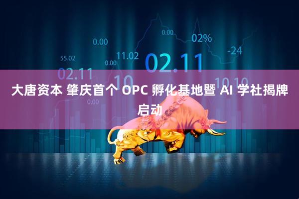 大唐资本 肇庆首个 OPC 孵化基地暨 AI 学社揭牌启动