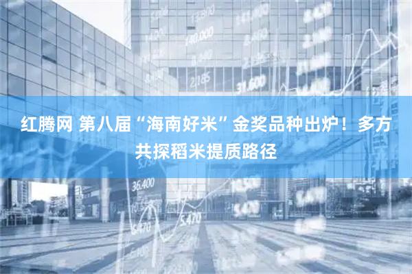 红腾网 第八届“海南好米”金奖品种出炉！多方共探稻米提质路径
